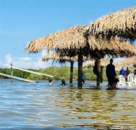 akokka aracaju|THE 15 BEST Things to Do in Aracaju .